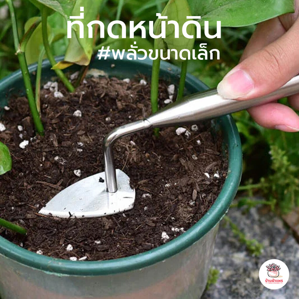 ที่กดหน้าดินสแตนเลส ปาดหน้าดิน เกลี่ยดิน พลั่วขนาดเล็ก อุปกรณ์ช่วยปลูกต้นไม้ แคคตัส กระบองเพชร cactus&succulent