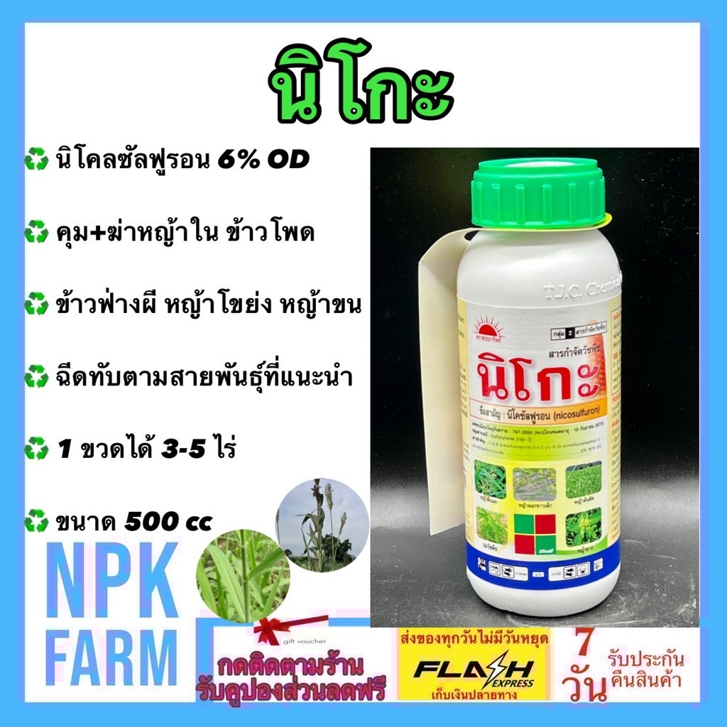 TN1:นิโกะ 500 ซีซี นิโคซัลฟูรอน ลอตใหม่ ยาฆ่าหญ้า ในข้าวโพด ข้าวฟ่างผี หญ้าขน หญ้าโขย่ง ไมยราบ