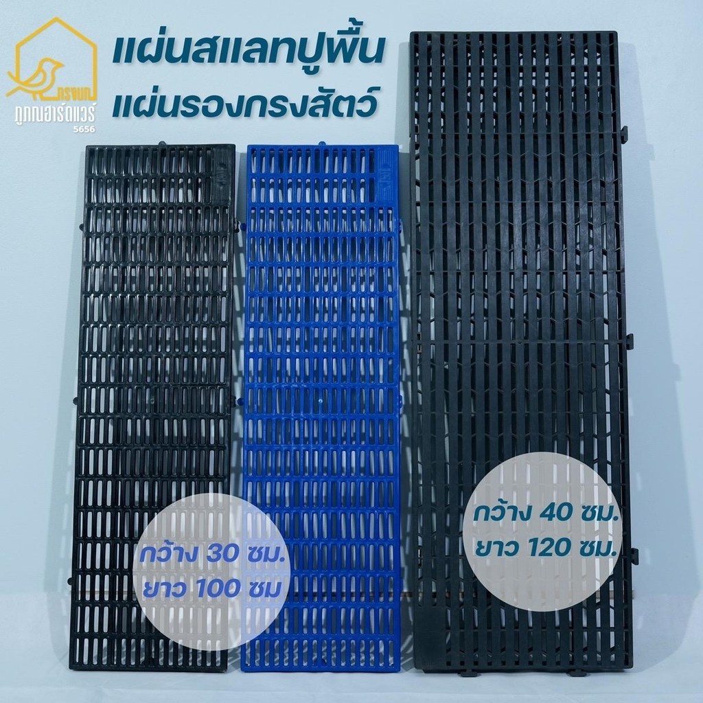 แผ่นสแลทปูพื้น แผ่นสแลทพลาสติก แผ่นรองกรงสัตว์เลี้ยง แผ่นรองตู้ปลา สแลทปูพื้นกันลื่น สินค้าพร้อมส่ง โรงงานมาเองรหัส P024
