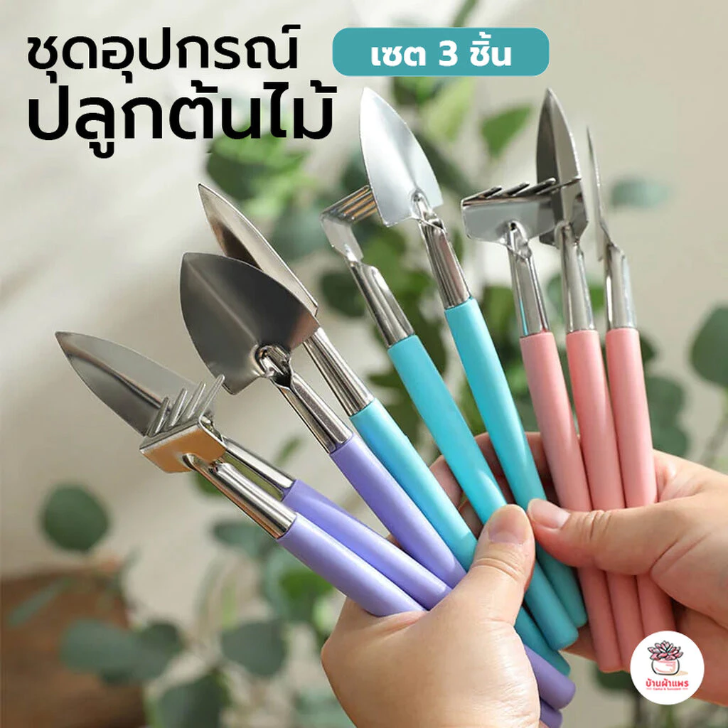[ เซต 3 ชิ้น ] ชุดอุปกรณ์ปลูกต้นไม้ #สแตนเลส เซตจัดสวน อุปกรณ์ปลูกแคคตัส เครื่องมือทำสวน