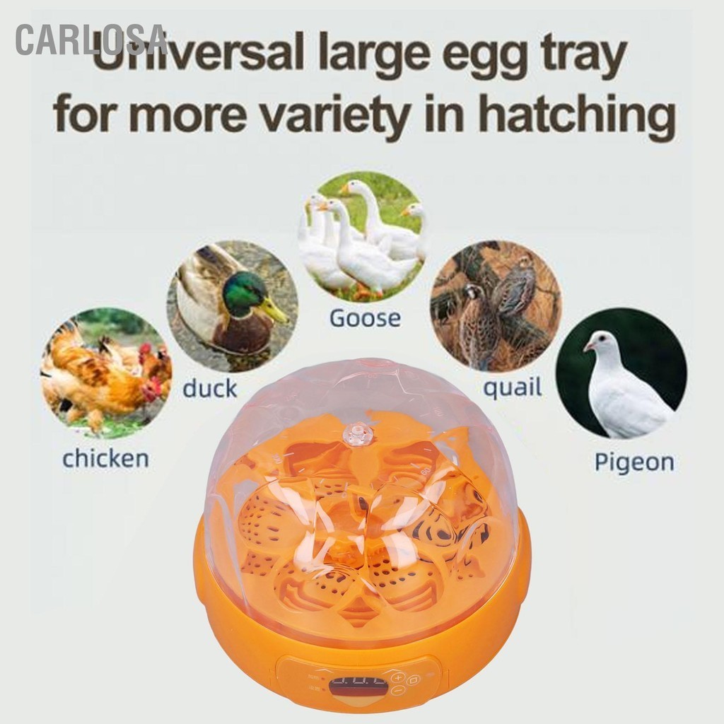 CARLOSA ตู้ฟักไข่ 15 วัตต์ 6 ไข่ดิจิตอลมินิศูนย์บ่มเพาะไข่อัตโนมัติพร้อมเครื่องพลิกไข่อัตโนมัติสำหรับฟักไข่ไก่เป็ดนกกระทา