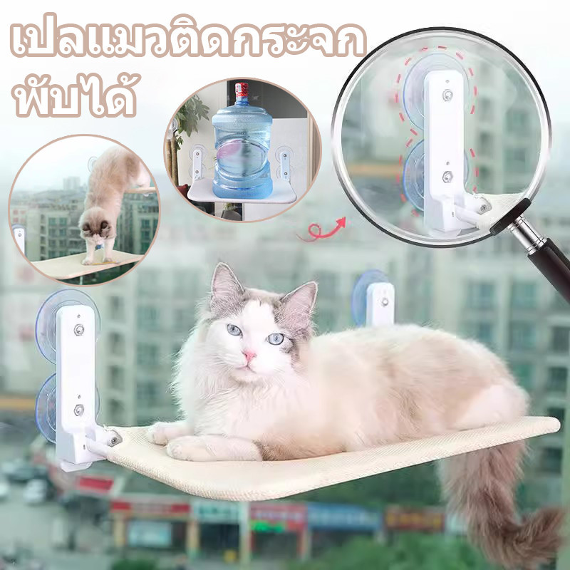 COD เปลแมวติดกระจก เตียงแมว เบาะแมว ขนาดใหญ่ รับน้ำหนักได้ถึง 20 kg ถ้วยดูดที่มีประสิทธิภาพ มั่นคงและไม่หลุดง่าย