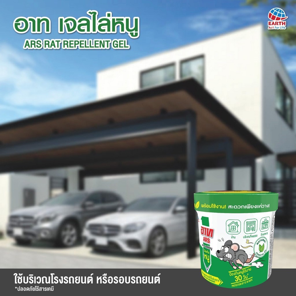 รูปภาพ 5