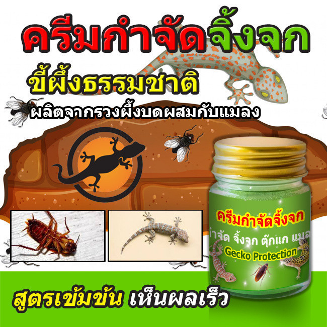 ขายดีอันดับ1!!! ครีมกำจัดจิ้งจก และแมลงสาบ ไล่จิ้งจก และแมลงต่างๆ เห็นผลจริง 10/20 กรัม ราคา ถูก ที่สุด ราคา ส่ง