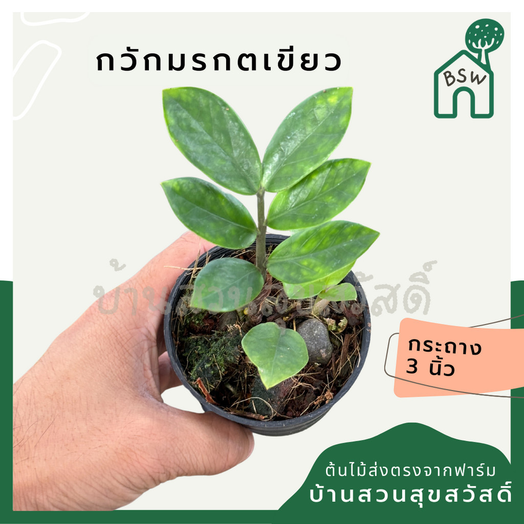 มุมมอง 2