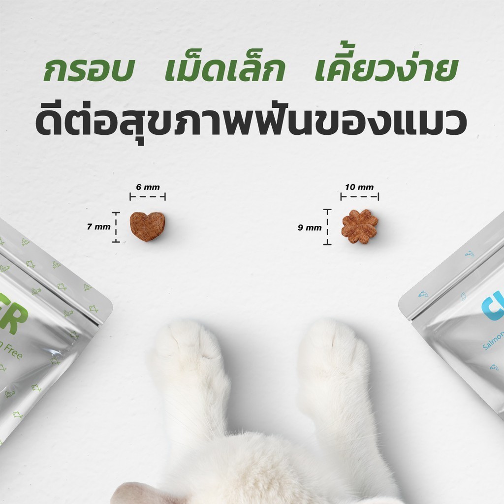 Clover อาหารเม็ดแมว เกรด Holistic Grain-Free ตัวแน่น ถนอมไต โซเดียมต่ำ ขนาด 5 kg - รูปที่ 4