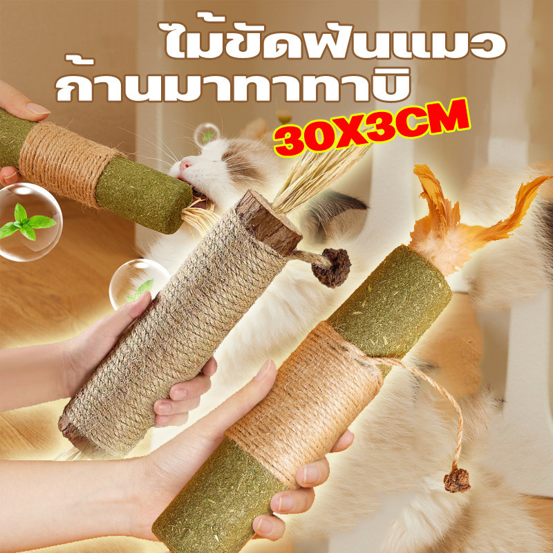 COD ไม้ฟันหญ้าแมว 38/30/21CM ก้านมาทาทาบิ ของเล่นแมว ไม้ขัดฟันแมว ขัดฟันไม้ อันใหญ่มาก