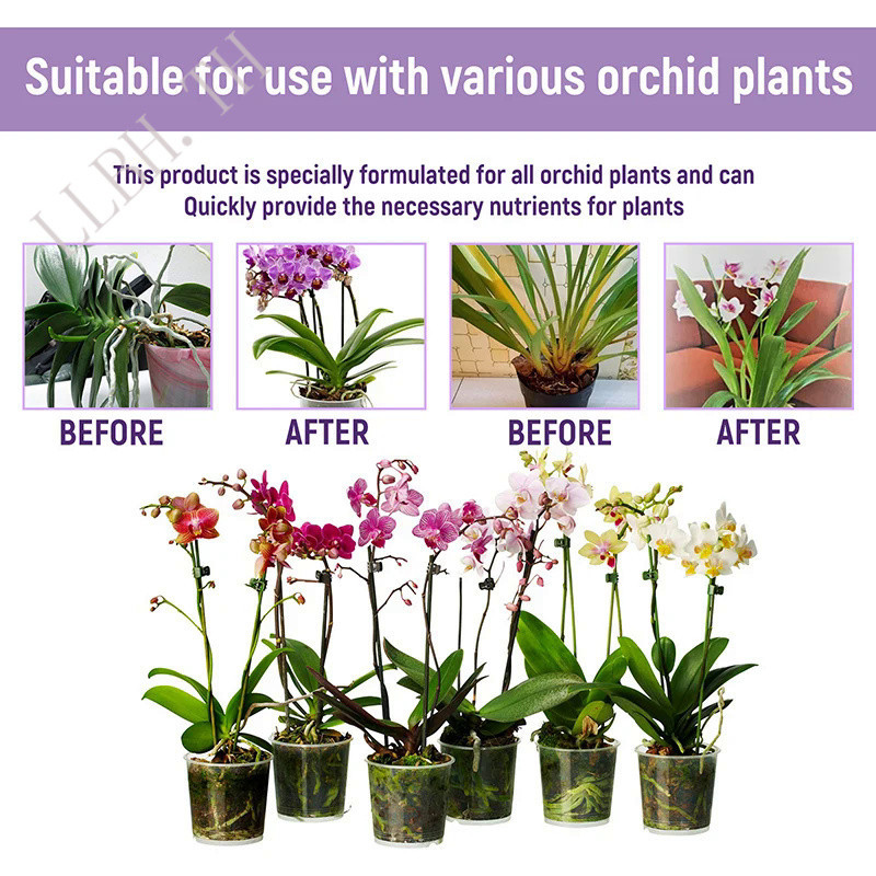 1Pc 50ml Orchid Special Fertilizer Rooting Liquid Plant Rapid Rooting Agent Flowering Organic Fertil