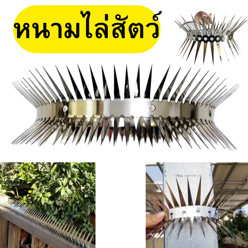 หนามไล่สัตว์ หนามกันสัตว์ ที่ไล่สัตว์ ไล่แมว กันนกเกาะ อุปกรณ์ไล่นก หนามไล่นก ไล่นกพิราบ ที่ดักนก กันนกพิราบ พร้อมส่ง