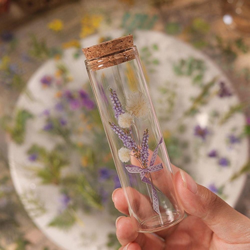 LACYESZB 6 ชิ้น/แพ็ค PVC พืชดอกไม้สติกเกอร์,สติกเกอร์ DIY สติกเกอร์สมุดภาพธรรมชาติ,วัสดุตกแต่งกาวกันน้ําปั๊มร้อนสติกเกอร์ดอกไม้โปร่งใสอัลบั้ม - รูปที่ 5