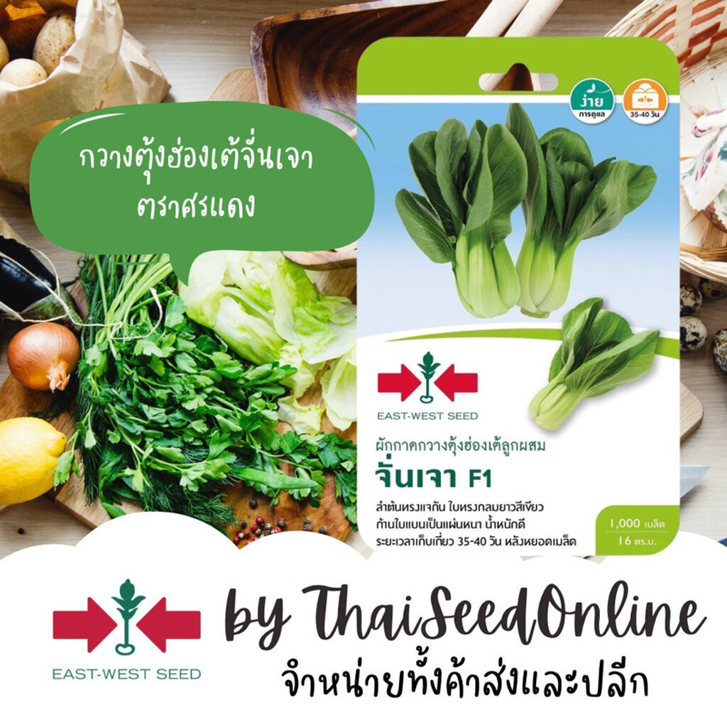 Sorndang(ศรแดง) GGEW เมล็ดพันธุ์ซฟ กวางตุ้งฮ่องเต้ จั่นเจา 1,000 เมล็ด ตราศรแดง Pak Choy