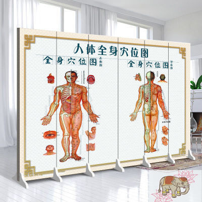 ฉากกั้นหน้าจอ ศูนย์การแพทย์แผนจีน จุดฝังเข็มในร่างกายมนุษย์ และเส้นเมอริเดียนที่ปิดกั้นหน้าจอ