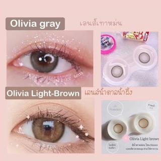 [ขายดี] Kitty Kawaii Contact Lens : Mini Olivia Light Brown / Gray (มีอย. ปลอดภัย) - คอนเทคเลนส์ รายเดือน kittykawaii