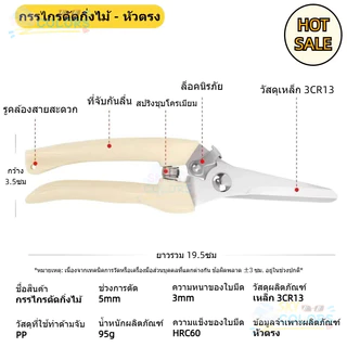 กรรไกรตัดกิ่งไม้ กรรไกรแต่งกิ่ง 6.5 นิ้ว ใบมีดสแตนเลส อย่างดี รหัส