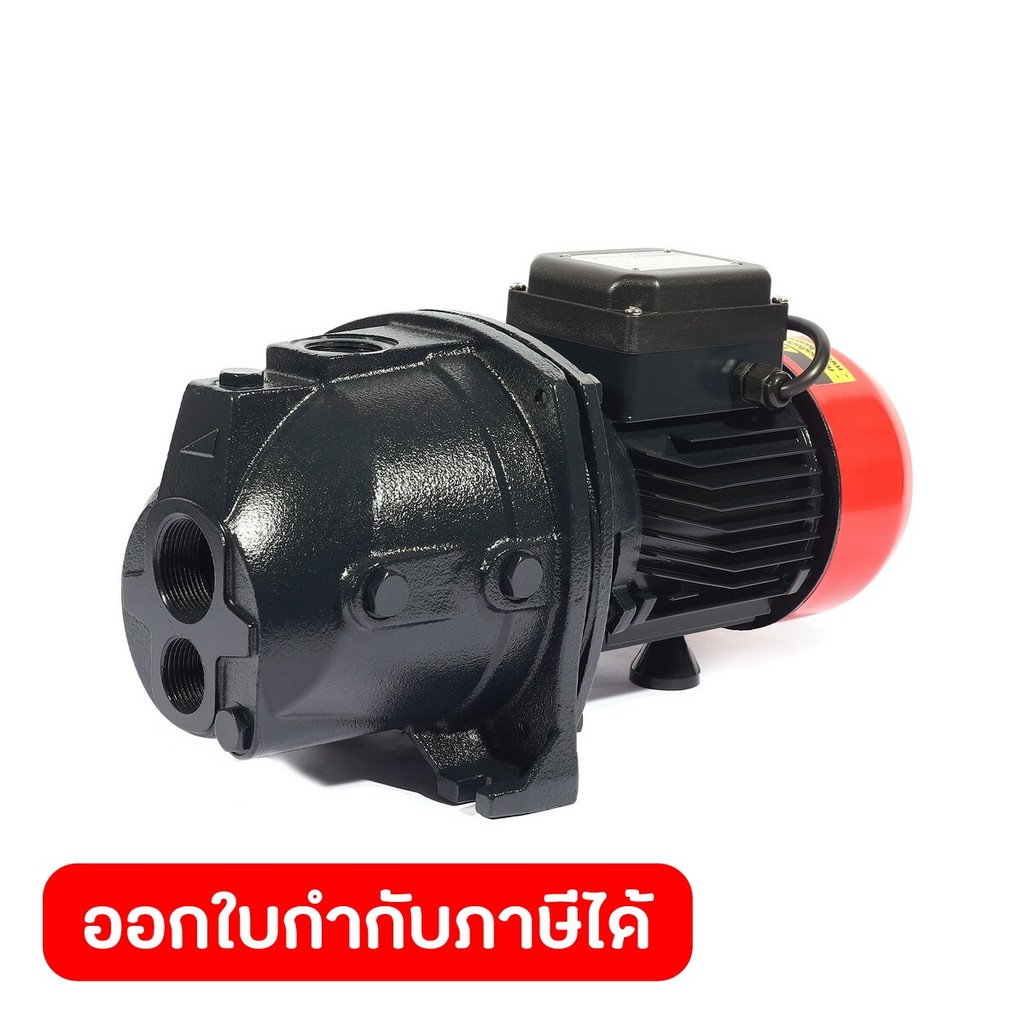POLO ปั๊มดูดน้ำลึกสำหรับบ่อบาดาล 1 แรงม้า ท่อ 1-1/4 X 1 นิ้ว รุ่น JDW-100B (EJECTOR-1) ส่งสูงสุด 44 เมตร (โปโล)