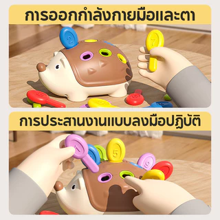 BHQ ของเล่นเพื่อการศึกษา เม่นน้อย ประสานมือและตา การฝึกความสนใจ ของเล่นสําหรับเด็กอายุ 1-3 ปี