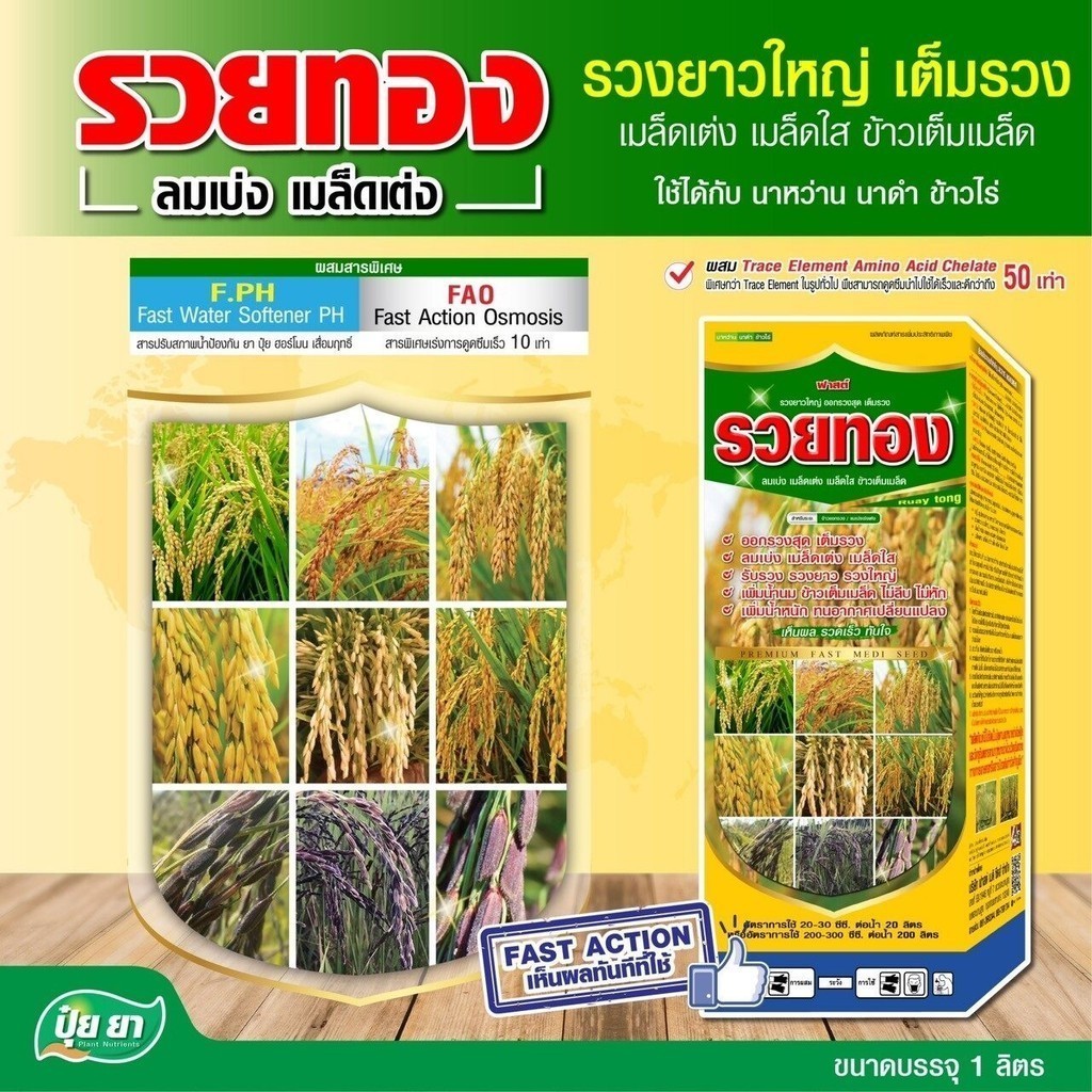 ข้าวรวยทอง ฮอร์โมนข้าว ออกรวง ลมเบ่ง เมล็ดเต่ง เมล็ดใส ออกรวงสุด นาข้าว ทนหนาว ทนร้อน ต้านทานโรค แมลง ปุ๋ยยา 1 ลิตร