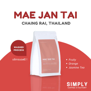🔥 กาแฟแม่จันใต้ (Mae Jan Tai) เชียงราย อาราบิก้า 100% กาแฟคั่วใหม่ Simply Coffee Roasters