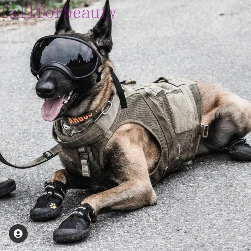 Fallforbeauty Pet Eye Wear Fashion 2023 Universal กันฝุ่น กันลม แว่นกันแดดสุนัขน้ํา