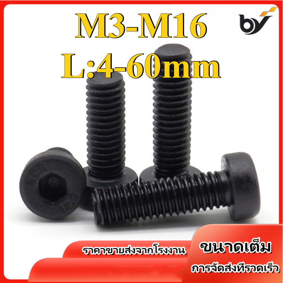 น็อตหัวจมบาง เกรด 12.9 แข็งพิเศษ เกลียวมิล ตลอด สกรู /Hexagon Socket Head Cap Screws Low Head M3/M4/