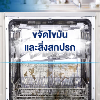 Finish [แพ็คคู่] ฟินิช ดิชวอชเชอร์ คลีนเนอร์ ทำความสะอาดเครื่องล้างจาน 250มล.