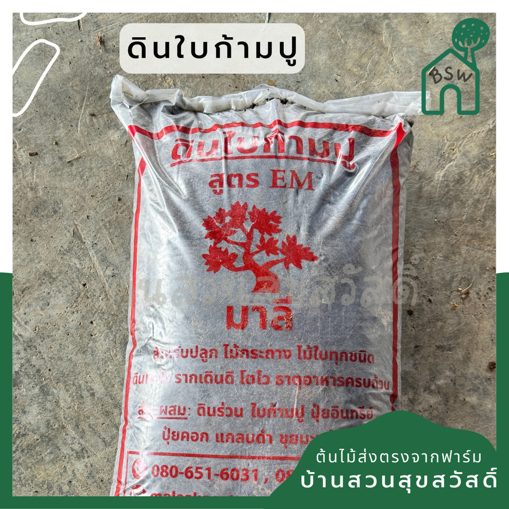 ดินใบก้ามปู ถุงละประมาน 5-6 กก. ของแท้