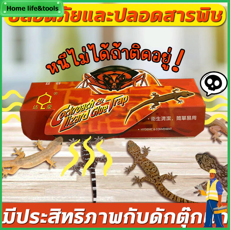 30แผ่น ติดตุ๊กแกได้ง่าย กําจัดจิ้งจก ดักจิ้งจก บ้านจิ้งจก การจับตุ๊กแกทางกายภาพ ปลอดภัยยิ่งขึ้น ไม่มีสารเคมี ไร้กังวล กา