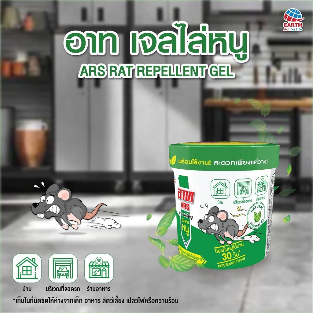 รูปภาพ 3