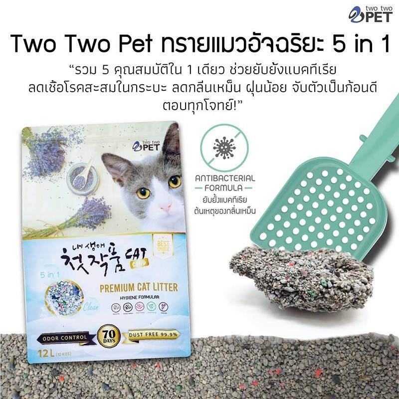 รูปภาพ 2