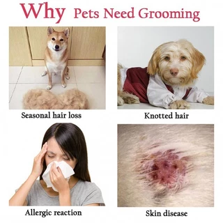 Professional สัตว์เลี้ยง Deshedding แปรงสุนัขผม Remover สัตว์เลี้ยงขนสัตว์ Knot เครื่องตัด Puppy Cat หวีแปรงสุนัข Grooming อุปกรณ์ส่อง