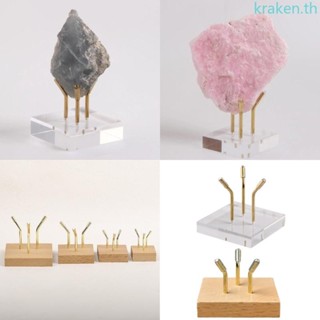 Kra ขาตั้งจอแสดงผลที่หรูหราสําหรับฟอสซิลและอัญมณีฐานหินอ่อนต…