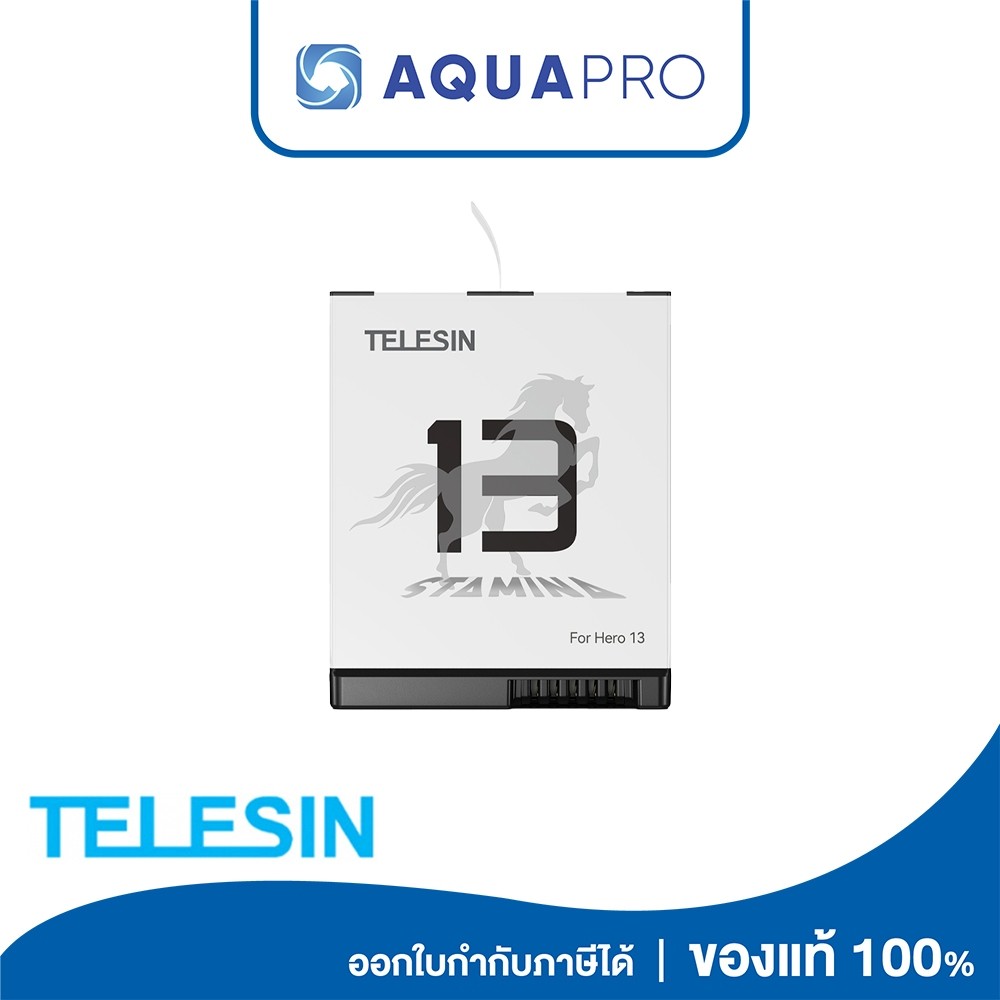 GoPro 13 Telesin Enduro Battery By Aquapro