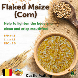 Flaked Maize (Corn) (1 lbs)