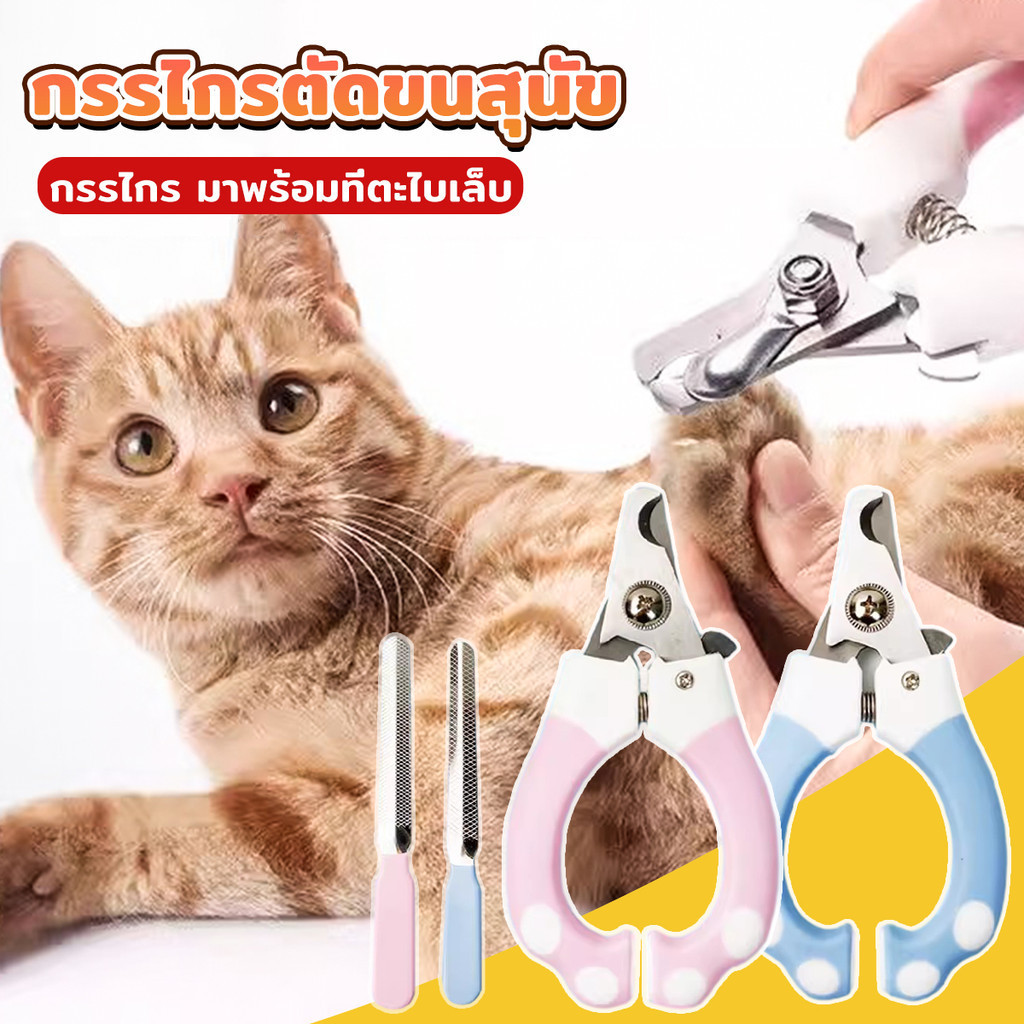 กรรไกรตัดเล็บ+ตะใบปัดเล็บสัตว์เลี้ยง กรรไกรตัดเล็บสุนัขและแมว ตัดเล็บหมา Pet scissors