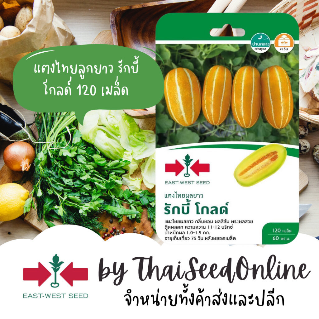 Sorndang(ศรแดง) GGEW เมล็ดพันธุ์ซฟ แตงไทย รักบี้โกลด์ 120เมล็ด ตราศรแดง Musk Melon