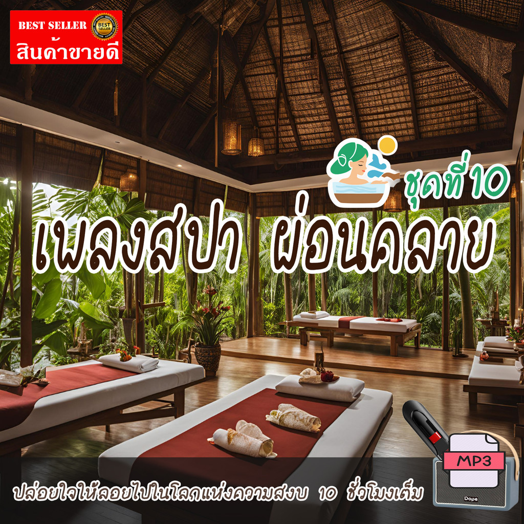 เพลงสปา mp3 (ชุดที่ 10) SPA Music สำหรับร้านนวด เพลงร้านสปา ผ่อนคลาย บำบัดจิตใจคลายเครียด แฟลชไดร์ฟ USB