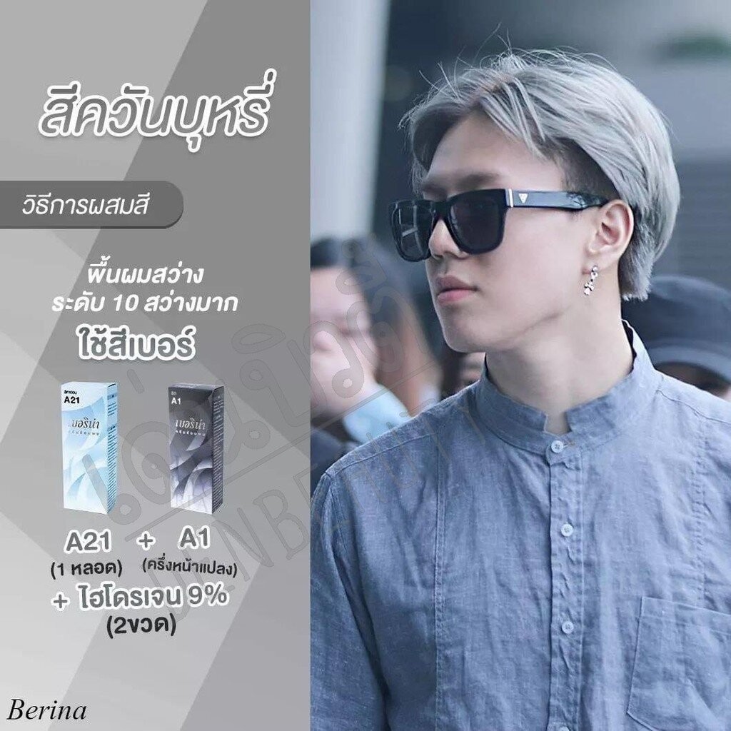 Berina เบอริน่า สีควันบุหรี่ A21 A1 เซ็ท 2 ชิ้น