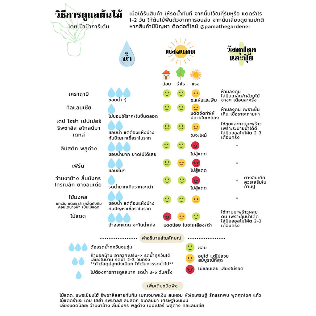 มุมมอง 3