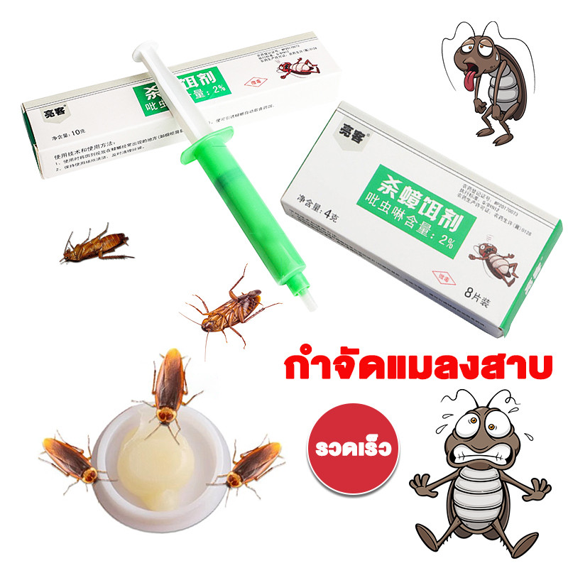 กำจัดแมลงสาบ ฆ่าแมลงสาบอย่างมีประสิทธิภาพ สะดวก สะอาด ยาแมลงสาบ กับดักแมลงสาบ