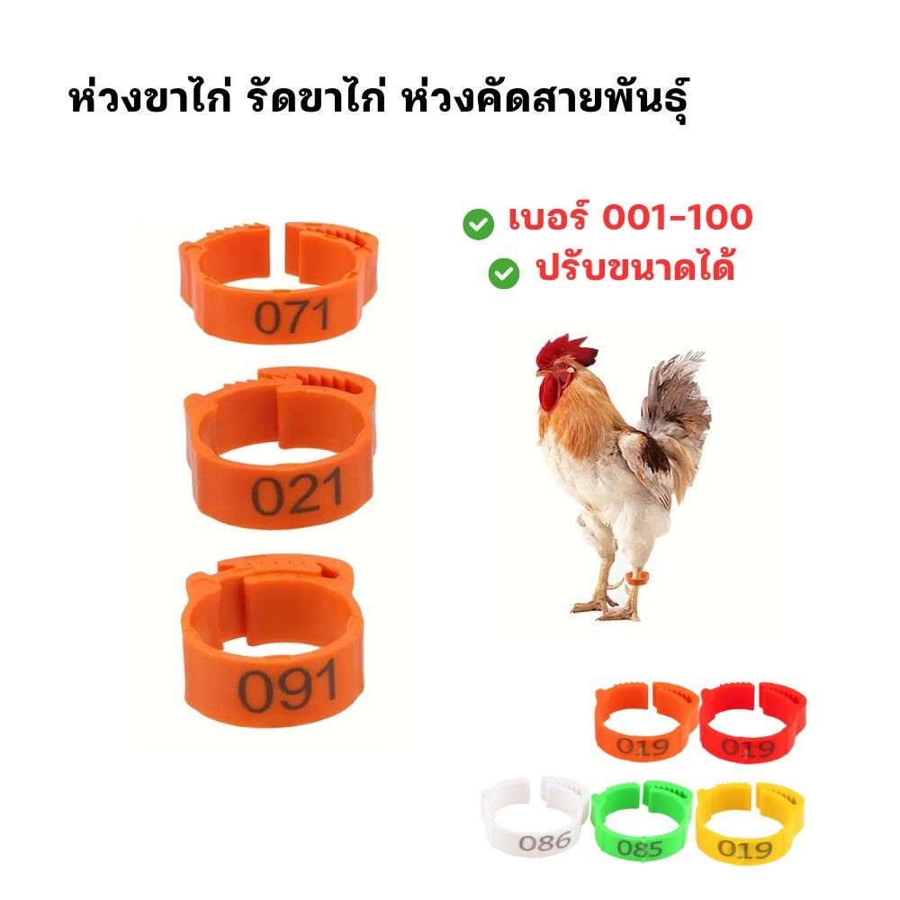 ห่วงขาไก่ ห่วงคัดสายพันธุ์ ทำประวัติไก่ 100เบอร์ เบอร์001-100 ปรับขนาดได้