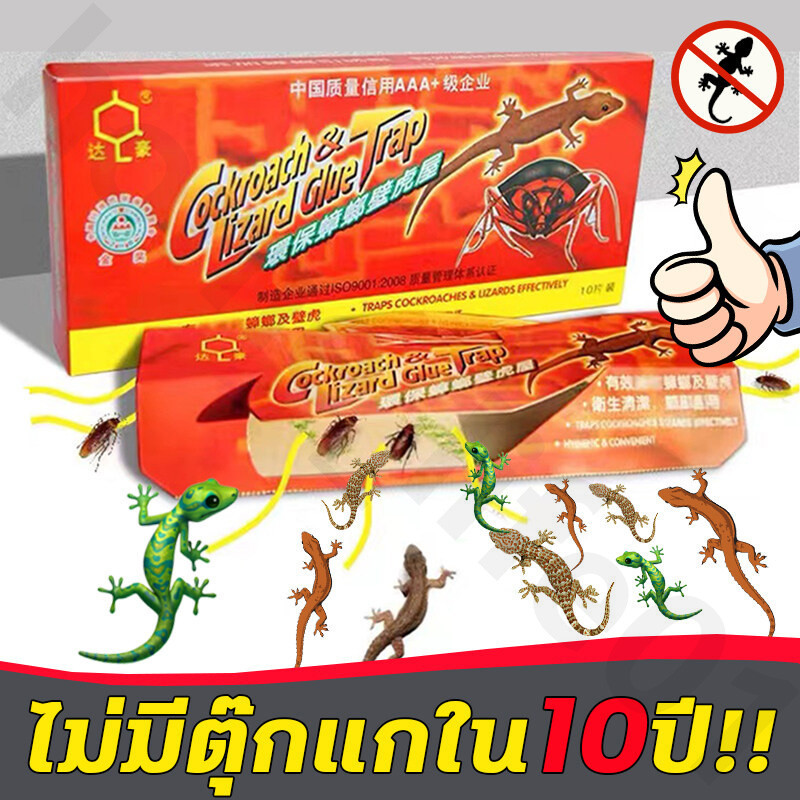 ดักจิ้งจกใหญ่ที่สุด ติดแล้วหนีไม่รอด ไม่มีสารเคมี ดักจิ้งจก สามารถใช้งานได้หลายจุด กำจัดตุ๊กแก ตัวกล่องกันความชื้น