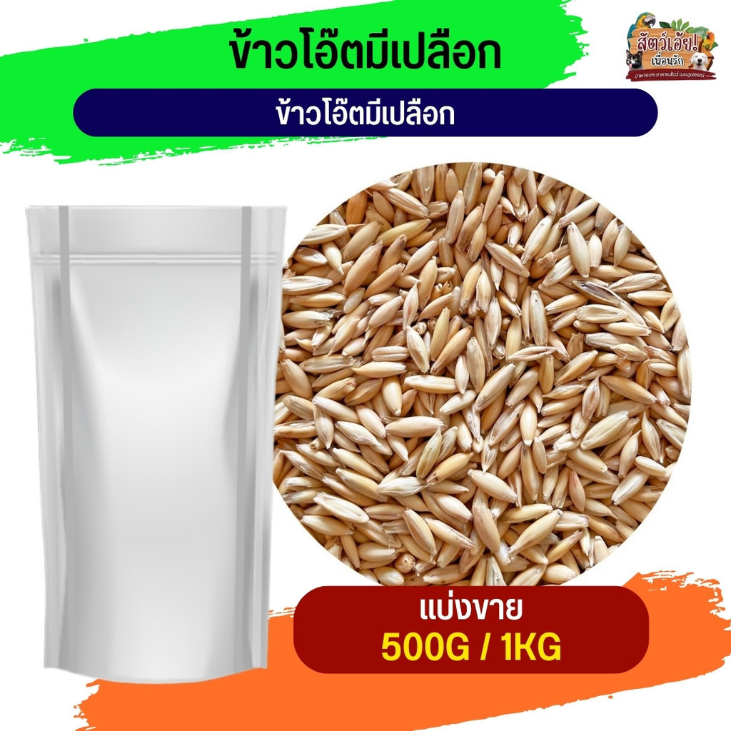 ข้าวโอ๊ตมีเปลือก Oat Rice อาหารนก กระต่าย หนู กระต่าย กระรอก ชูก้า และสัตว์ฟันแทะ (แบ่งขาย 500G / 1KG)