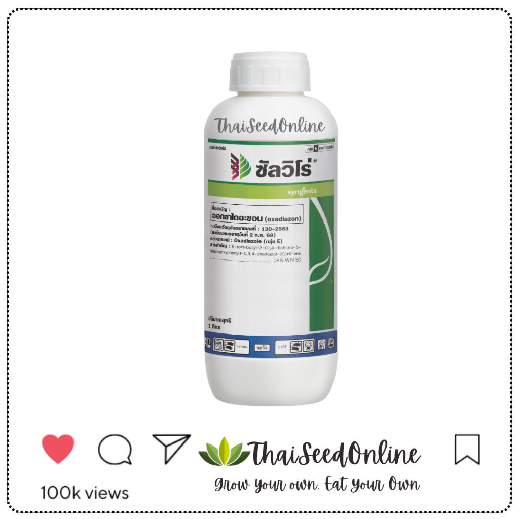 Syngenta(ซินเจนทา) SG ซัลวิโร่ 1 ลิตร ออกซาไดอะซอน บริษัทซินเจนทา Herbicide