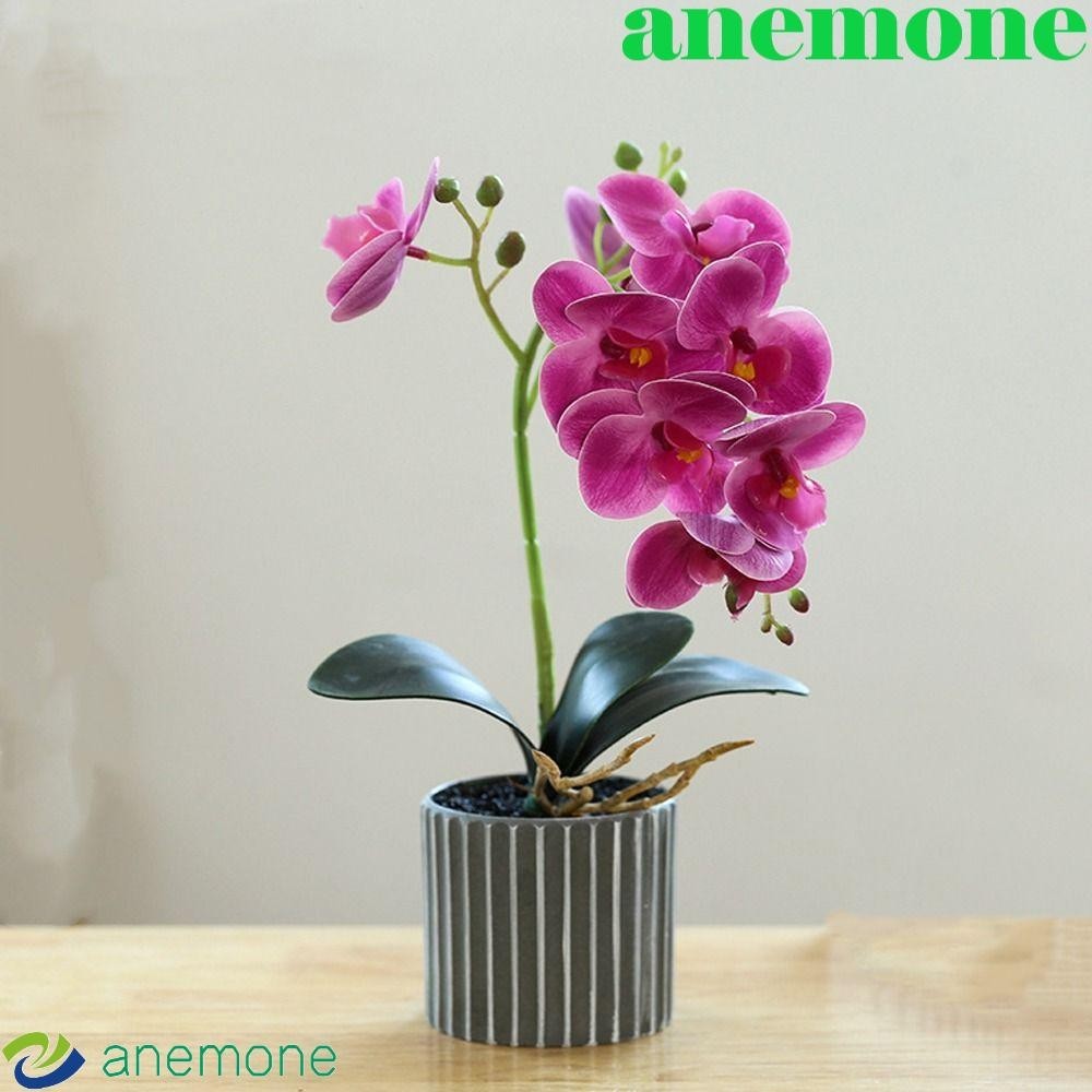Anemone ดอกกล้วยไม้ประดิษฐ์ 8 ดอก พร้อมใบกล้วยไม้ปลอม สําหรับตกแต่งบ้าน ออฟฟิศ