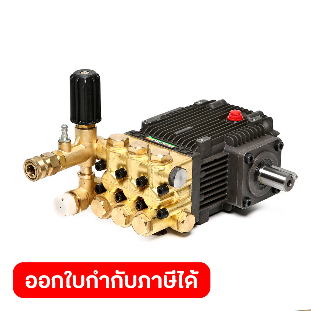 ชุดปั๊มอัดฉีด รุ่น 3WZ-1810B 248 บาร์