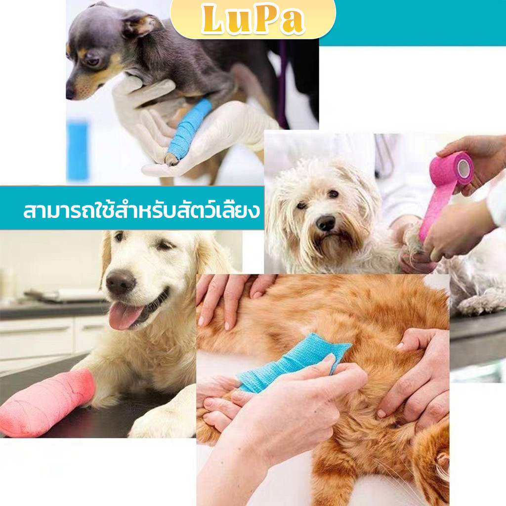 รูปภาพ 3