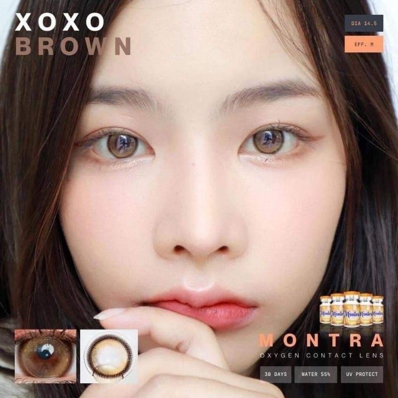 Xoxo gray brown  montra lens คอนแทคเลนส์เลนส์ฟิลเตอร์ ค่าอมน้ำ 55% ขนาดเท่าตา