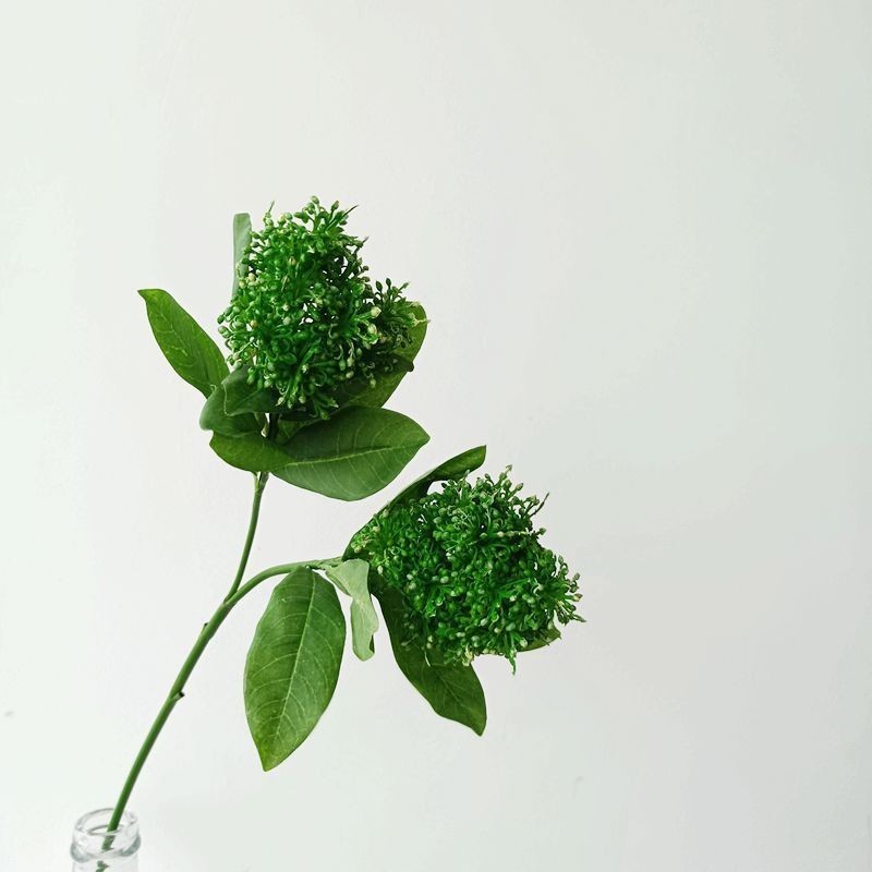 ต้นยูคาลิปตัส ผลไม้ประดิษฐ์ ใบไม้สีเขียว ตกแต่งบ้าน ห้องนั่งเล่น งานแต่งงาน DIY ตกแต่งงานเลี้ยง