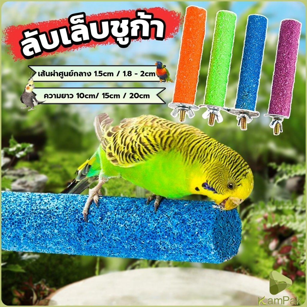 KamPak ก้านไม้ของเล่นสําหรับนกแก้ว คอนลับเล็บ จัดส่งแบบสุ่มหลายสี ราคาต่อ 1 ชิ้น Wooden Bird Perch