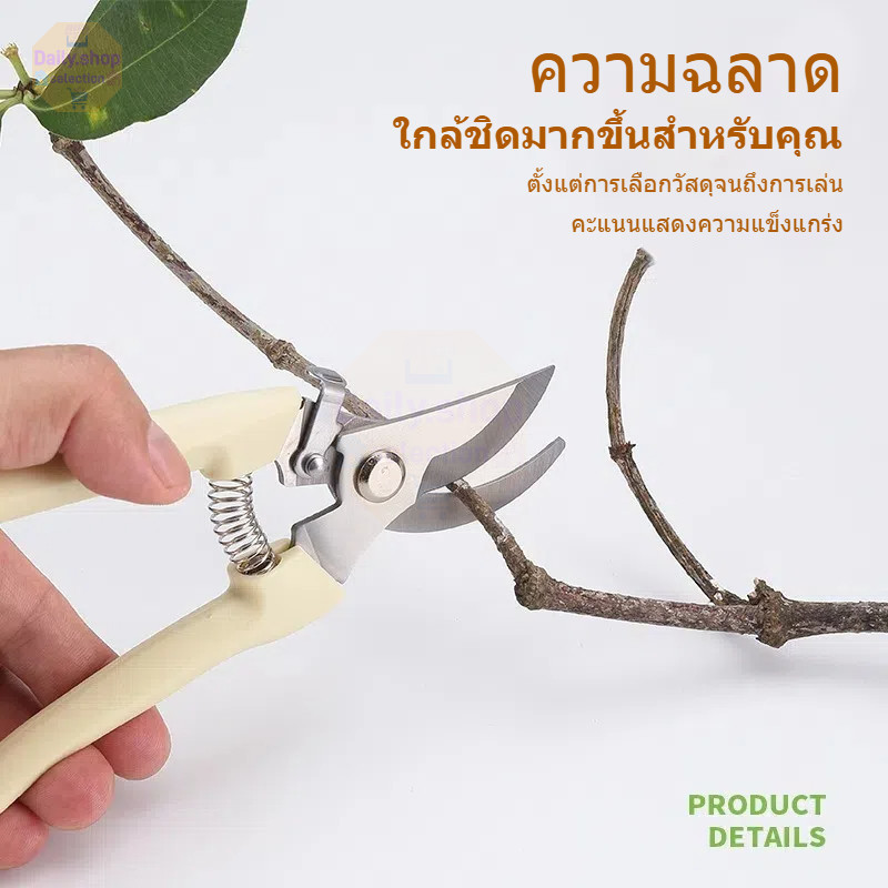Daily กรรไกรแต่งกิ่ง กรรไกรตัดกิ่งไม้ 6.5 นิ้ว ใบมีดสแตนเลส รุ่น